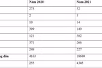 Có 24.318 điểm 10 ở kỳ thi tốt nghiệp năm 2021, nhiều gấp 4,1 lần năm 2020