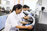 Vào top 500 thế giới, trường ĐH nước ngoài mới được lập phân hiệu ở Việt Nam