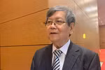 Đã là trường công thì không nên phân chia thành chuyên và không chuyên