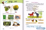 Sẽ thay thế bài “Hai con ngựa”, “Ve và gà” trong sách Tiếng Việt 1 bộ Cánh Diều