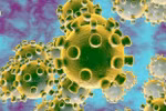 Công điện ứng phó với dịch virus corona của Bộ Giáo dục