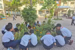 Xanh hơn mỗi ngày: Hành động nhỏ - Thay đổi lớn