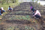 Giúp học sinh trải nghiệm ra sao trong chương trình mới, góc nhìn từ thực tiễn