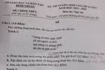 Bình Thuận đồng ý cho điểm tuyệt đối cả 2 đáp án câu đơn hoặc câu ghép
