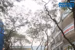 Tổ hành chính đi làm đúng theo quy định thì giáo viên sẽ không phải trực trường