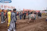 Về Đọi Sơn xem “vua” đi cày