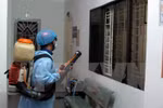 Đà Nẵng có công văn khẩn chống dịch sốt xuất huyết ở nhà trường