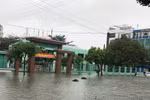 Nhiều trường học bị ngập sâu, học sinh Đà Nẵng phải nghỉ học