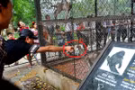 Du khách cho khỉ hút thuốc ở Vườn thú Hà Nội