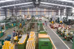 Kết thúc quý III, GEE ghi nhận 663,2 tỷ đồng lợi nhuận trước thuế hợp nhất