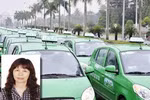 Nữ TGĐ từ nhiệm sau 8 ngày nhậm chức: Khó khăn bủa vây Mai Linh?