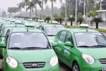 Khó khăn chồng chất, Mai Linh giải thể công ty con