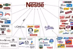 Nestlé Việt Nam: 18 năm hoạt động, 14 năm lỗ và những con số bất ngờ