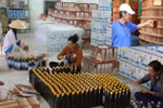 Thương nhân TQ ồ ạt thu mua cá cơm gây khó nước mắm Phú Quốc