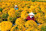 Đặc sắc lễ hội hoa xuân Sa Đéc 2013 