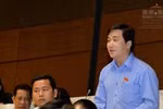 “Tôi không hiểu tại sao mọi việc lại gấp đến vậy!”