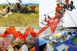 Thực hiện quyết liệt, hiệu quả các Nghị quyết của Đảng, Quốc hội, Chính phủ