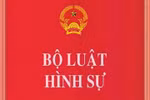 Thủ tướng chỉ thị triển khai thi hành Bộ luật Hình sự năm 2015
