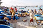 Phát triển kinh tế biển gắn với bảo vệ quốc phòng, an ninh