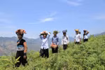 Miễn học phí bậc trung học cơ sở khó thành vì 3 bộ lo không có tiền