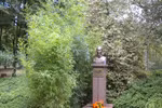 Ai đó có quên ước muốn của Bác Hồ?