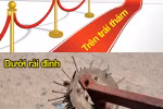 Trên thảm, dưới đinh, ở giữa linh tinh vừa còng vừa … lệ 