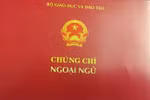 Thêm 1 đơn vị được tổ chức thi và cấp chứng chỉ ngoại ngữ theo khung 6 bậc
