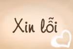Dưới làm sai, trên mấy ai xin lỗi?