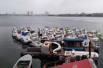 Hà Nội: Doanh nghiệp bị đóng cửa bất ngờ, hàng trăm người lo mất việc