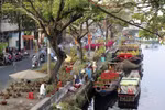 Viết cho mùa xuân mới 
