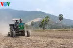 Các giải pháp phòng chống hạn mặn cho vựa lúa quốc gia