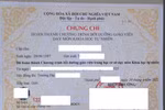 Học 4 năm đại học không bằng 3 tháng bồi dưỡng, sao vô lý thế? 
