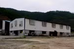 Doanh nghiệp lao đao vì chính quyền nhanh nhảu