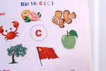 Sách vẽ cờ Trung Quốc: 'Ngụy biện, nực cười, không hiểu nổi'!
