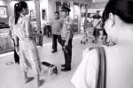 Dân mạng tròn mắt: Cô gái dắt lợn cưng vào Trung tâm Thương mại