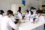 Cần đột phá về chính sách đãi ngộ giảng viên