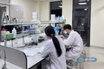 Bộ GDĐT yêu cầu cơ sở giáo dục đại học xây dựng kế hoạch đào tạo nhân lực phát triển công nghệ cao