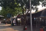 Phường Ngọc Lâm “bất lực” trước vi phạm hành lang thoát lũ sông Hồng?