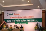 Bầu Đức bán bò sữa và thủy điện tại Lào