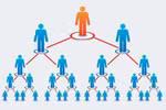 Chất dứt hoạt động kinh doanh đa cấp Công ty TNHH Network Hoàng Kim