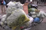 Công ty Trung Thành đưa thực phẩm không an toàn vào trường học từ khi nào?