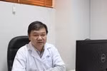 Hàng chục bệnh nhân nhập viện mỗi ngày do kiến ba khoang