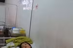 Đã tìm ra nguyên nhân khiến 17 công nhân ngộ độc thực phẩm 