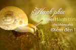 Hạnh phúc dành cho ai?