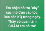 Những giáo viên nào hay thuê người học thay bồi dưỡng chương trình mới?