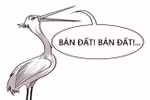 Khi giáo viên đua nhau làm “cò đất”