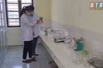 Học sinh thi sáng tạo khoa học kĩ thuật, làm sao đừng bắt các em gian dối