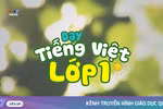 Theo tôi, lớp 1 năm nay chỉ nên dạy 2 môn Tiếng Việt, Toán cho đến khi hết Covid