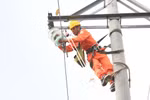 Tình hình hoạt động sản xuất kinh doanh 6 tháng đầu năm của EVNNPC