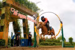 Độc đáo thao diễn ngựa “Hào khí Tây Bắc” tại Sun World Fansipan Legend